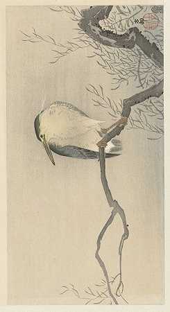 在异想天开的树枝上嘎嘎作响`Quack on whimsical branch (1900 ~ 1930) by Ohara Koson