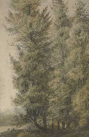 森林边缘的高大松树`Hoge dennen aan de rand van een bos (1619 ~ 1690) by Anthonie Waterloo