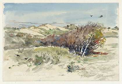 布卢门达尔和伊穆伊登之间的沙丘景观`Duinlandschap tussen Bloemendaal en IJmuiden (1891) by Jan Hoynck van Papendrecht