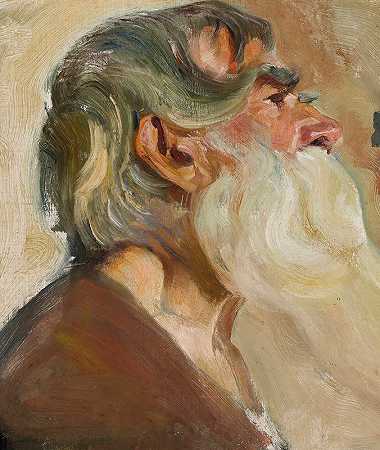 灰胡子老人`Old man with grey beard (between 1903 and 1904) by Stanisław Dębicki