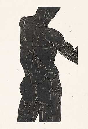 男性背部和臀部肌肉轮廓的解剖学研究`Anatomische studie van de rug~ en bilspieren van een man in silhouet (1906) by Reijer Stolk