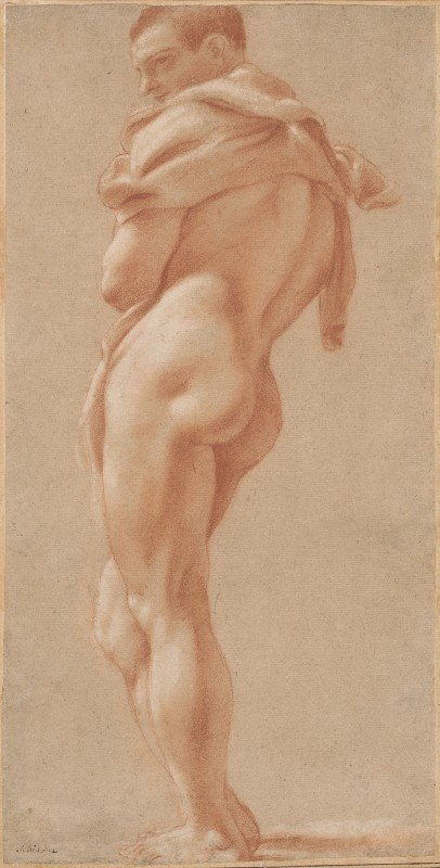站着的男性裸体从后面看`Standing Male Nude Seen from Behind (c. 1590) by Pietro Faccini