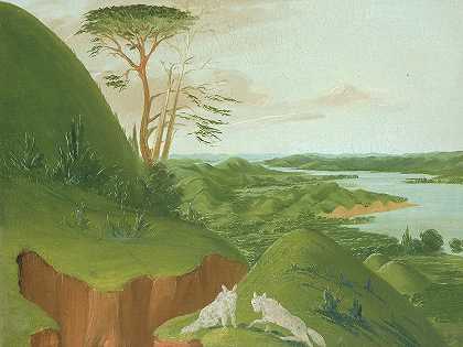 密苏里州上游，前景为白狼的河崖`River Bluffs With White Wolves In The Foreground, Upper Missouri (1832) by George Catlin