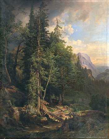 从纽伯格附近的斯泰利安山脉森林`Aus den steirischen Gebirgswäldern bei Neuberg (1868) by Anton Hansch