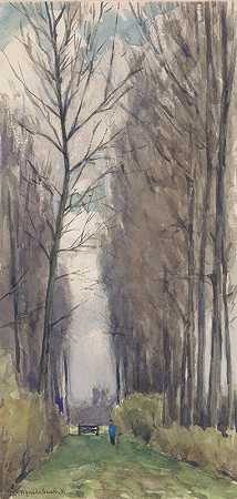 高树巷`Laan met hoge bomen (1870 ~ 1937) by Willem Wenckebach