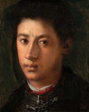 亚历山德罗·德美第奇`Alessandro de’ Medici (1534~35) by Pontormo (Jacopo Carucci)