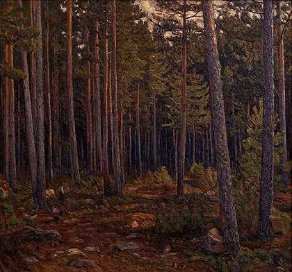 针叶林的屋内`Interior of a Coniferous Forest (1904) by Herman Norrman