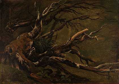 腐烂树木的研究`Study of decaying Tree (1837) by Thomas Fearnley