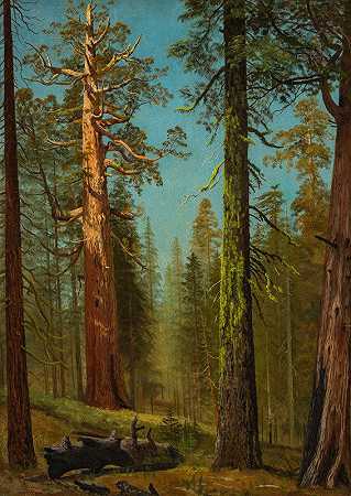 加利福尼亚州马里波萨格罗夫灰熊巨杉`The Grizzly Giant Sequoia, Mariposa Grove, California (circa 1872~1873) by Albert Bierstadt