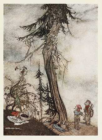 冷杉和荆棘`The Fir~tree and the Bramble (1912) by Arthur Rackham