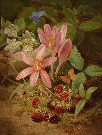 约瑟夫·劳尔的黑莓秋花`Herbstblume mit Brombeeren by Josef Lauer