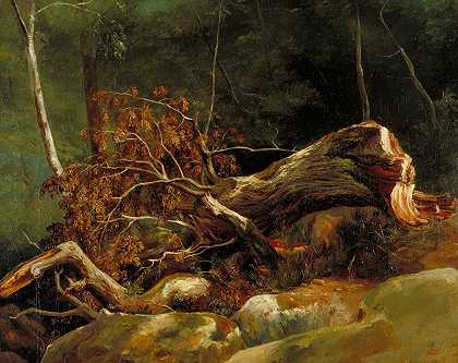 《倒下的树枝》，枫丹白露（Achille Etna Michallon）`The Fallen Branch, Fontainebleau (c. 1816) by Achille Etna Michallon