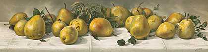 J·E·巴克利对梨的研究`Study of pears (1891) by J. E. Barclay