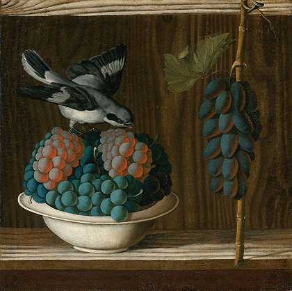 安东尼奥·莱昂内利的《葡萄与灰伯劳鸟的静物》`Still Life Of Grapes With A Gray Shrike by Antonio Leonelli