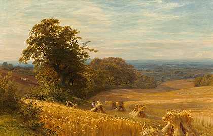 伯克斯阿宾顿的玉米田`Cornfield at Abingdon, Berks (1874) by George Vicat Cole