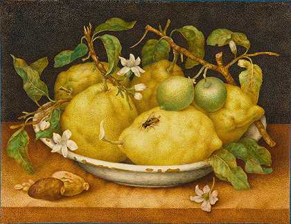 Giovanna Garzoni的《柠檬碗静物》`Still Life With Bowl Of Citrons (late 1640s) by Giovanna Garzoni