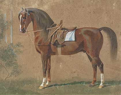 鞍马`Gesattelter Hengst (1865) by Emil Volkers