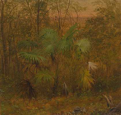 Thatch Palm，牙买加`Thatch Palm, Jamaica (1865) by Frederic Edwin Church