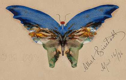 蓝蝴蝶`Blue Butterfly (1896) by Albert Bierstadt
