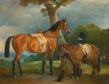 索罗德夫人s猎人和设得兰小马与新郎`Lady Thorolds Hunter And Shetland Pony With Groom by John Ferneley