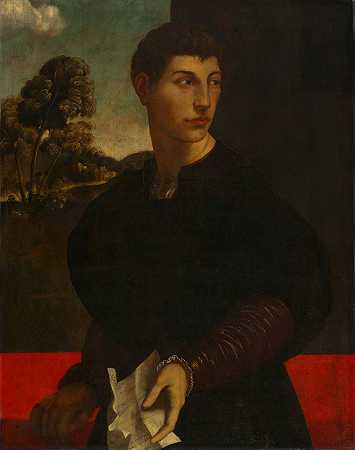 一个年轻人的肖像`Portrait of a Young Man (c. 1530) by Dosso Dossi