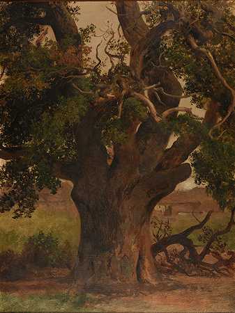 老橡树（书房）`Le Vieux chêne (étude) by Jacques-Raymond Brascassat