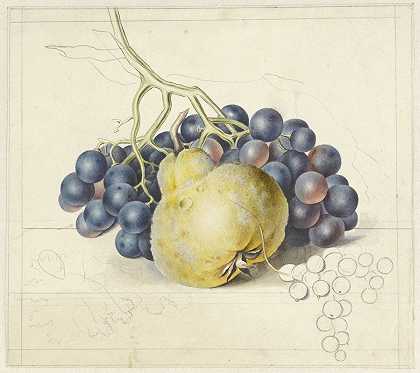 有葡萄和梨的静物画`Stilleven met druiven en een peer (1792) by Georgius Jacobus Johannes van Os