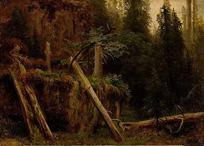 腐朽树木景观研究`Landscape Study with decaying Trees (1851) by August Cappelen