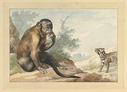 一只猴子坐在岩石上看果子狸`A Monkey Sitting on a Rock Looking at a Civet (1764) by Aert Schouman