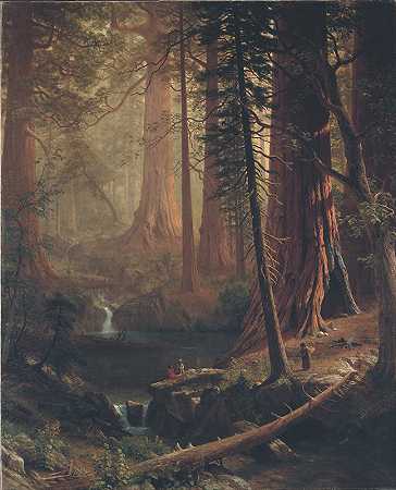 加利福尼亚州的巨大红杉`Giant Redwood Trees of California (1874) by Albert Bierstadt