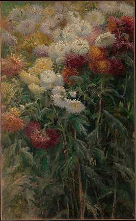 小根内维尔花园里的菊花`Chrysanthemums in the Garden at Petit~Gennevilliers (1893) by Gustave Caillebotte