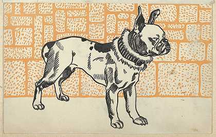 斗牛犬`Pitbull Terrier (1912) by Moriz Jung
