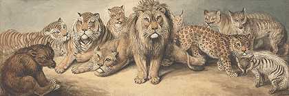 猫科动物，有熊和狐狸`Animals of the Cat Family, with a Bear and Foxes by Samuel Howitt