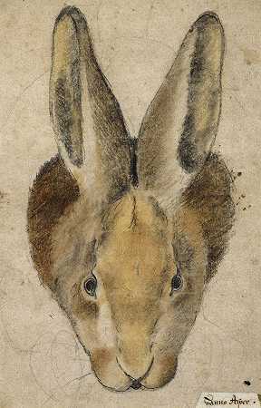 前面的兔子`Hase von vorn by Hans Asper