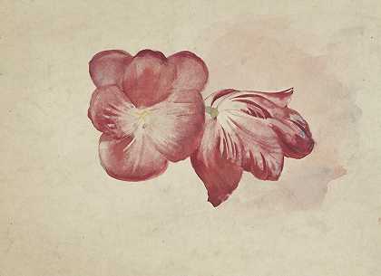 两朵红色郁金香`Twee rode tulpen (1874) by Carel Adolph Lion Cachet