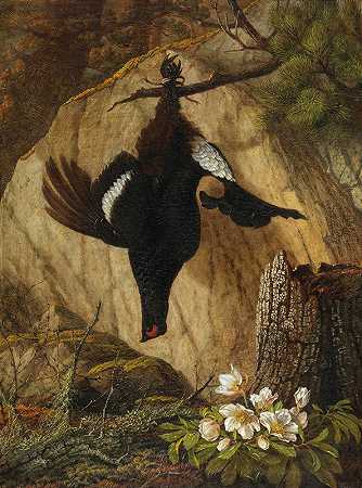 一只木松鸡和黑色的海螺`A Wood Grouse and Black Hellebore (1878) by Pauline Halm-Flechner