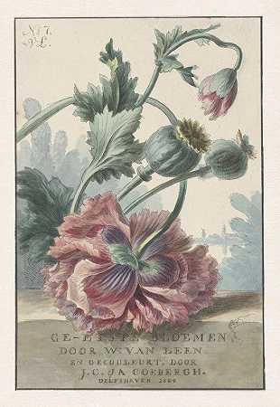 罂粟籽`Klaprozen (1804) by Willem van Leen