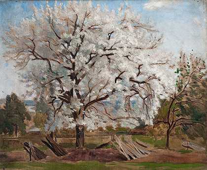 盛开的苹果树`Apple Tree in Blossom (1877) by Carl Fredrik Hill