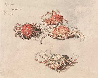 威尼斯蜘蛛蟹的研究`Studies of Spider Crabs, Venice (1874) by Myles Birket Foster