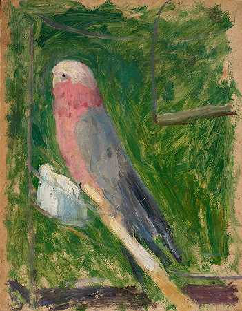 鹦鹉`Parrot (1918) by Tadeusz Makowski