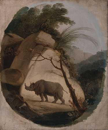 印度犀牛`The Indian Rhinoceros (ca. 1790) by Thomas Daniell