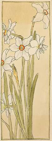 诗人水仙`Poets Narcissus (circa 1915) by Hannah Borger Overbeck