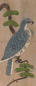 游隼`
Peregrine Falcon (18th century)