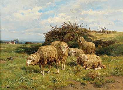 草地上的羊`Sheep in a meadow by Cornelis Van Leemputten