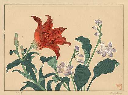 百合花`Lily (1920s) by Sakai Hōitsu