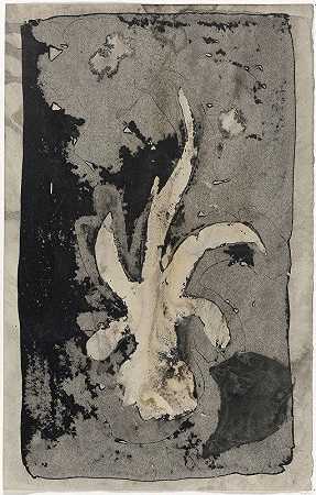 花（兰花），1874 h1945`Bloem (orchidee), 1874 – 1945 by Carel Adolph Lion Cachet
