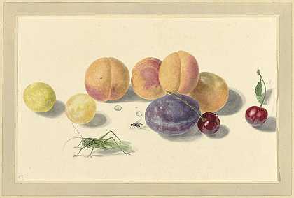 桃子、李子、樱桃和两种昆虫`Perziken, pruimen, kersen en twee insecten, after Michiel van Huysum (1818 ~ 1853) by Elisabeth Geertruida van de Kasteele