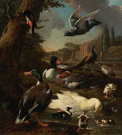 花园里的孔雀、鸽子、鸭子和其他鸟类`A peacock, pigeon, ducks and other birds in a garden setting by Melchior d;Hondecoeter