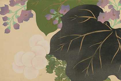 菊花泡桐`Chrysanthemum and Paulownia (Kikukiri) (1909~1910) by Kamisaka Sekka