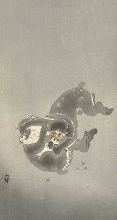 两只猴子在玩耍`Two monkeys playing (1900 ~ 1930) by Ohara Koson